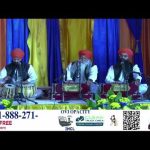 Mannat TV Live