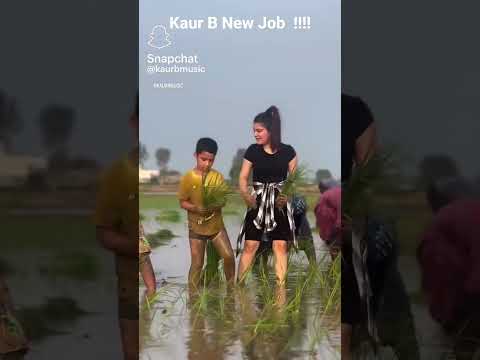 Kaur B New Job !!!! Available To Hire ....@kaurbmusic
