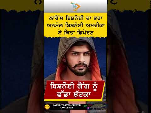 ਬਿਸ਼ਨੋਈ ਗੈਂਗ ਲਈ ਵੱਡਾ ਝਟਕਾ। ਲਾਰੈਂਸ ਬਿਸ਼ਨੋਈ ਦੇ ਭਰਾ ਅਨਮੋਲ ਬਿਸ਼ਨੋਈ ਨੂੰ ਅਮਰੀਕਾ ਤੋਂ DHS ਦੁਆਰਾ ਡਿਪੋਰਟ