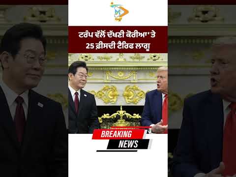 Trump imposes 25 percent tariff on South Korea