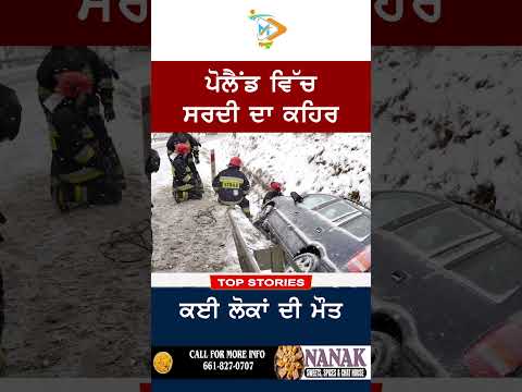 Deadly winter cold grips Poland | Multiple deaths reported