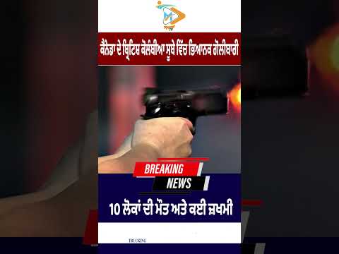 Mass shooting in British Columbia, Canada leaves 10 dead and several injured