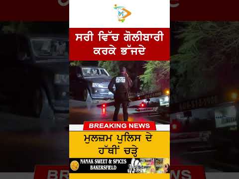 Surrey shooting suspects arrested while fleeing | Police Action