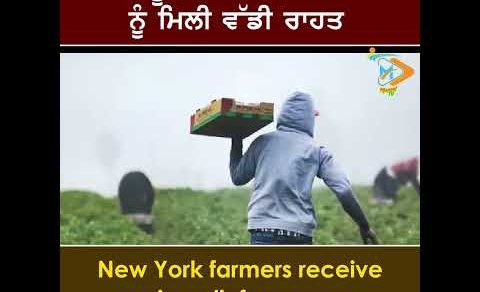 New York Farmers Receive Major Relief Measures 🌾🇺🇸: ਨਿਊਯਾਰਕ ਦੇ ਕਿਸਾਨਾਂ ਨੂੰ ਵੱਡੀ ਰਾਹਤ